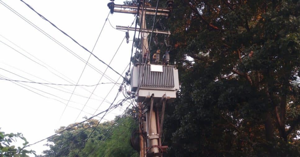 startup, energia elétrica, arborização
