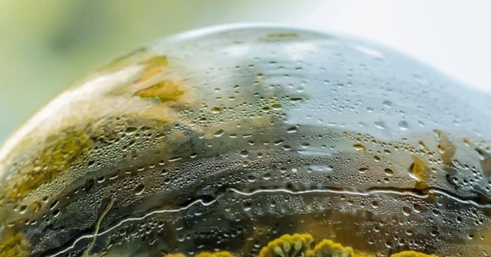 sustentabilidade, l'oreal, inovação, programa